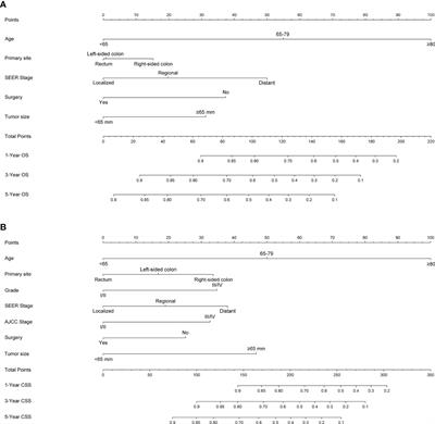 Development and validation of a prognostic model to predict the prognosis of patients with colorectal gastrointestinal stromal tumor: A large international population-based cohort study